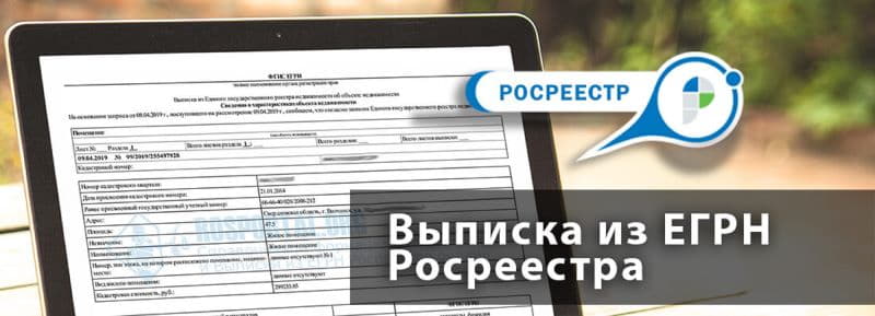 Срок действия выписки из ЕГРН